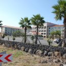 일성설악휴양콘도미니엄 이미지