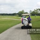 태영골프 이미지