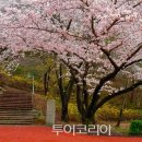 아사달목장 이미지