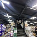 애견백화점 | 애견 동반 가능 🐶 수원 킹콩백화점(리퍼브 마켓) 득템 쇼핑 후기