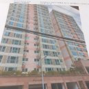 청룡동-21 이미지