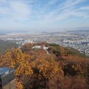 계양산산림욕장(장미원) 이미지