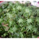 새빛주유소 이미지