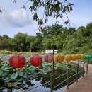 영명사 입구 이미지