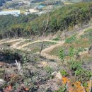 벧엘태양광발전소 이미지