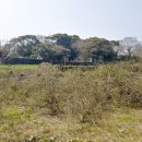 G1228 이미지