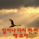 새아침