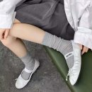 벨루즈