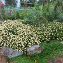 낭도 꿈뜰펜션 이미지