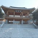 호명산잣나무숲캠핑장 이미지