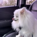 차암동물병원 이미지