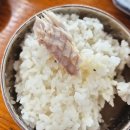 뚱이네 생선구이 | 안성 미양면 맛집 바삭한 화덕생선구이 전문점 뚱이네생선구이
