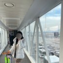 [제주도] 2박 3일 겨울 제주도 서쪽 여행 (애월•한림)