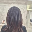 진보미용실