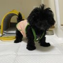 동그라미 동물의료센터 이미지