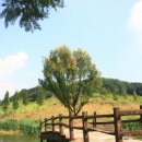 간월도관광지 돌담 이미지