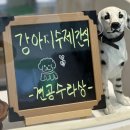 견공수라상 네이버블로그
