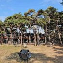 (취소)3월18일 수요일🌈춘천 의암호 호수 보면서 둘레길 산책🌼춘천 닭갈비💜너무도 유명한 숲속 초대형 카페 기대해도 좋습니다! 이미지
