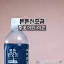 물애담 이미지