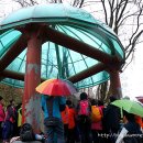 영풍두월리약사여래석불 이미지