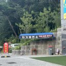 얼크니샤브칼국수 네이버블로그