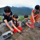 당나귀숲 이미지