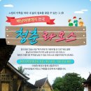 싱글스투어