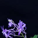 보광농장 이미지