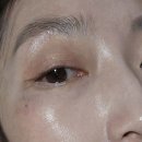 서울문정초등학교 | 심심하니까 쓰는 일상 그리고 일기장