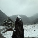 창성농장 이미지