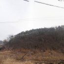 황룡공인중개사 이미지