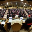 14/10/08 Synod bishops discuss nixing harsh language - Say Catholics should be encouraged to 'take one step at a time' toward God 이미지