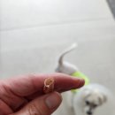 개판살판 이미지