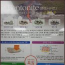 구피염색방 이미지