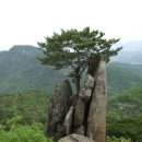 작은동산길 이미지