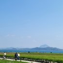 중국이 사들인 ‘제주 송악산’…380억 더 주고 사와야 한다 이미지