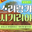 주식회사 여행투어 네이버블로그
