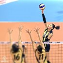 삼성카랜드 이미지