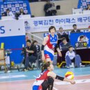 김천실내체육관 이미지