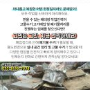 영앤영성형외과의원 이미지