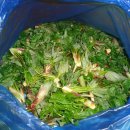 남구-021 이미지