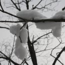 백덕산주유소 이미지