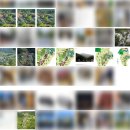 돌풍목장 이미지