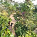 부천호수식물원 수피아 이미지