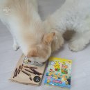 대교주유소 | 오키나와여행/코우리대교/코우리오션타워/Miyazato Soba/국제거리/돈키호테/오키나와라젠트/라젠트호텔...