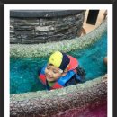 무지개탕 이미지