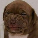 드림안경보라점 | [{중국 웨이하이 2박3일}]위고몰에서 염색네일메이크업받기, 행복문 환취루 한러펑 보긴 봄