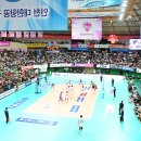 도원체육관 이미지