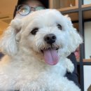 강산동물병원 이미지