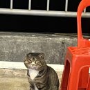 조개나루터 이미지